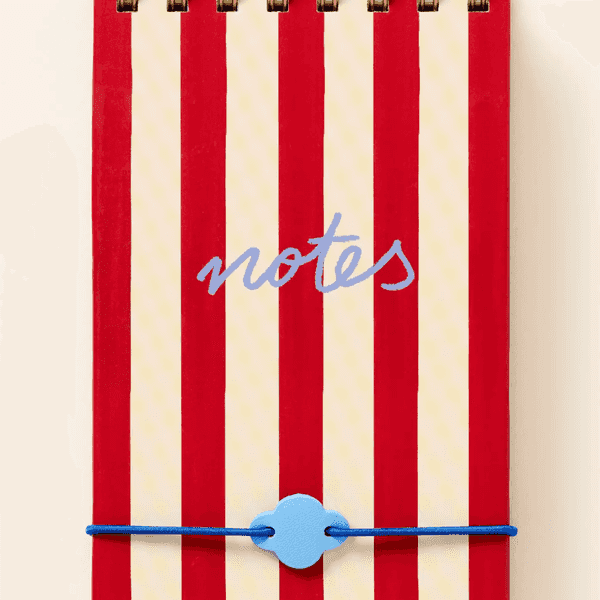 Striped red and cream notebook with "notes" on cover, secured by a blue elastic band.
