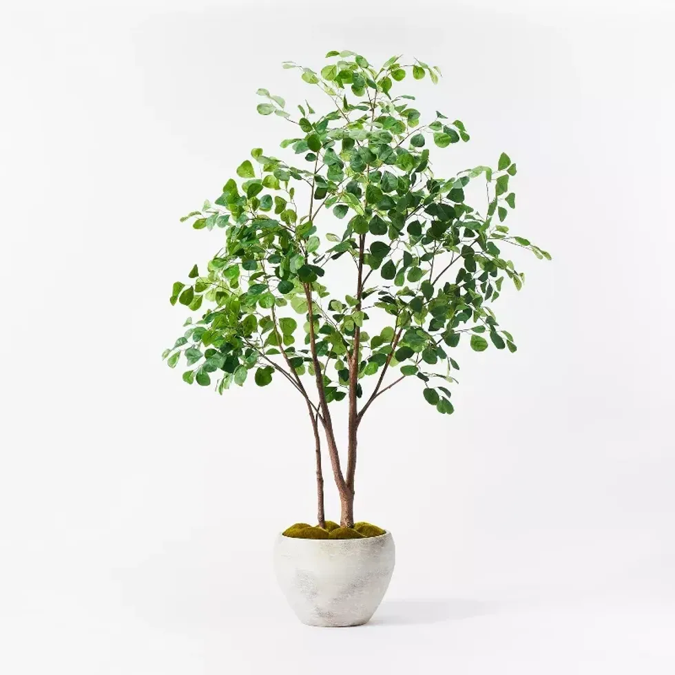 Studio Mcgee Artificial Ficus Tree