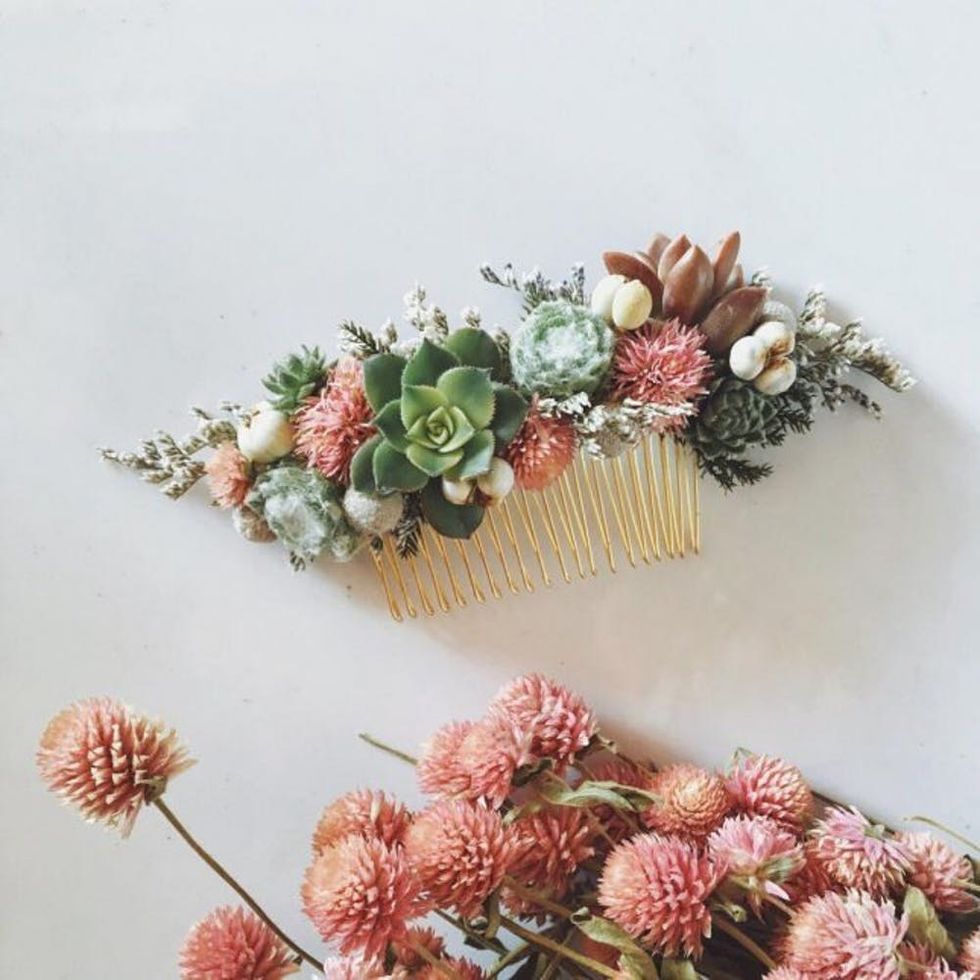 Succulent hair comb
