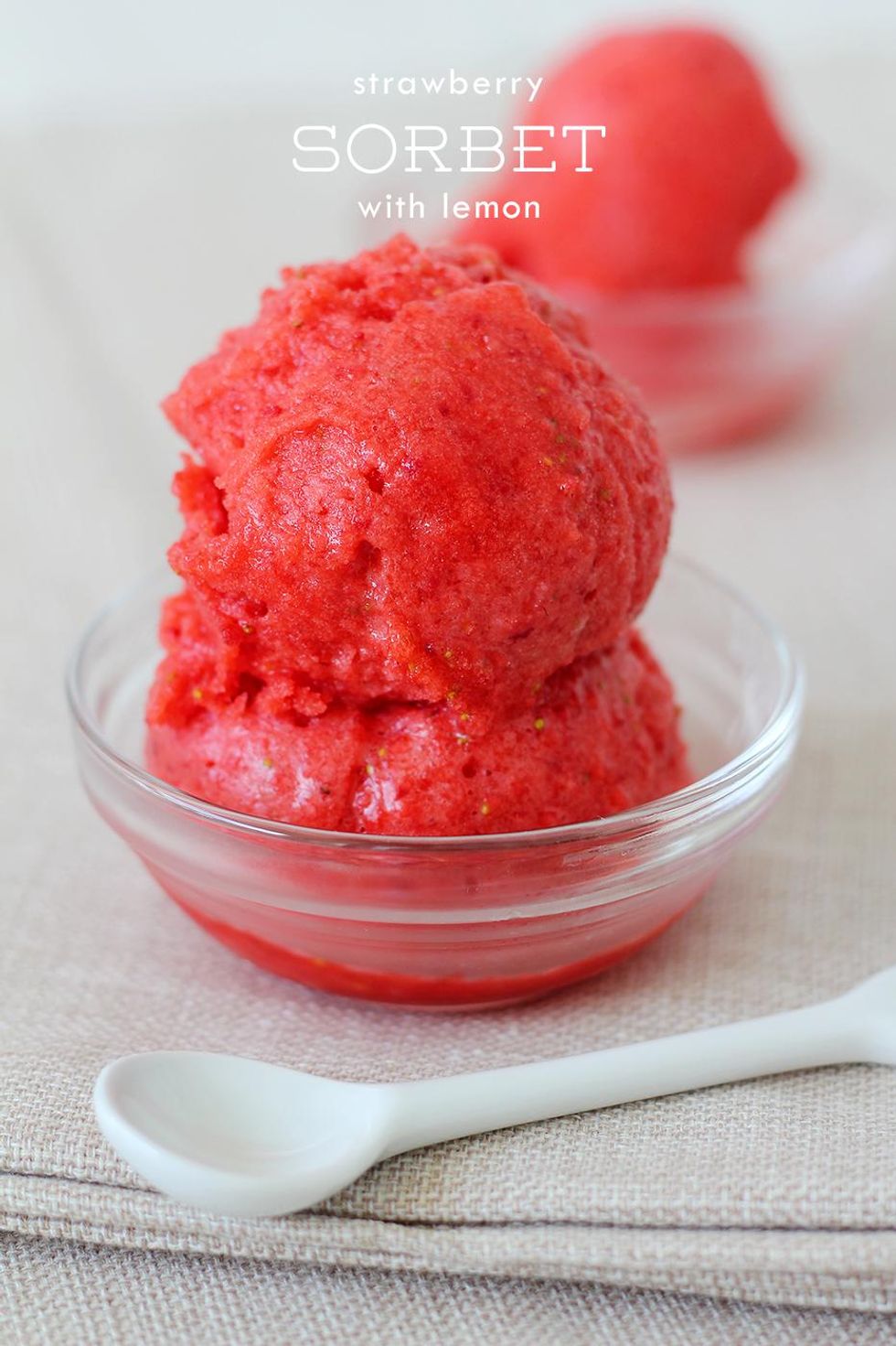summer sorbet recipes