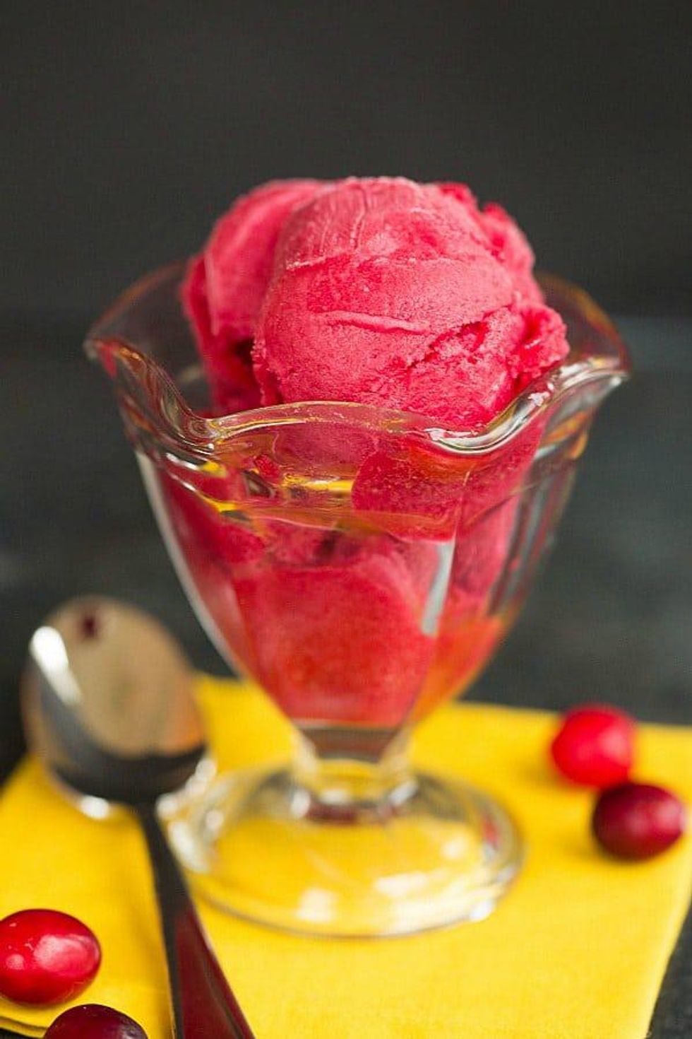 summer sorbet recipes