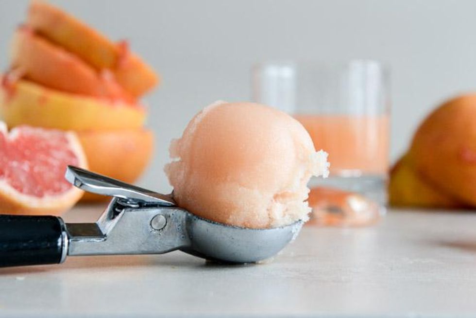summer sorbet recipes