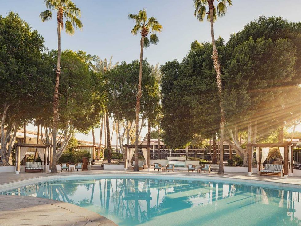 Sunlit pool surrounded by tall palm trees and shaded seating areas.