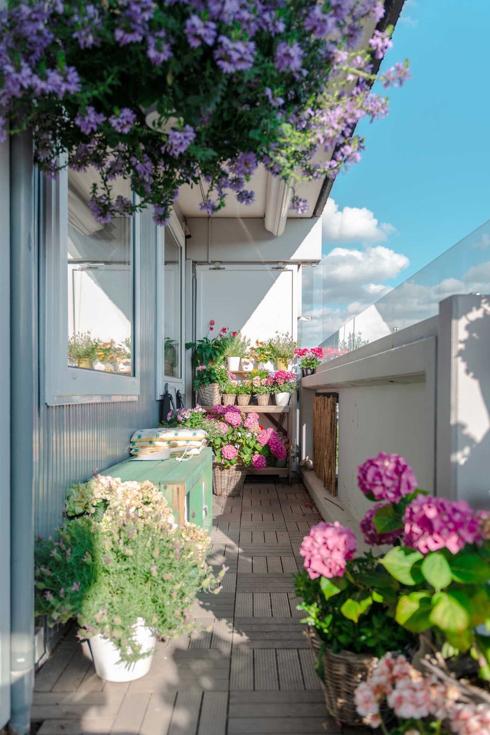 Sunny balcony with colorful flowers and hanging purple blooms.
