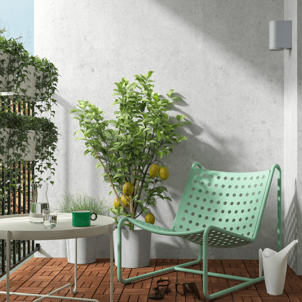 Sunny patio with green chair, lemon tree, and table with drinks.