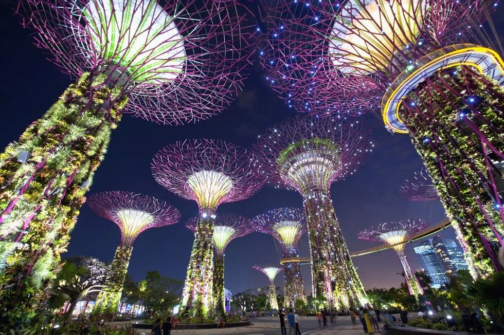 Supertree Grove at Gardens By The Bay