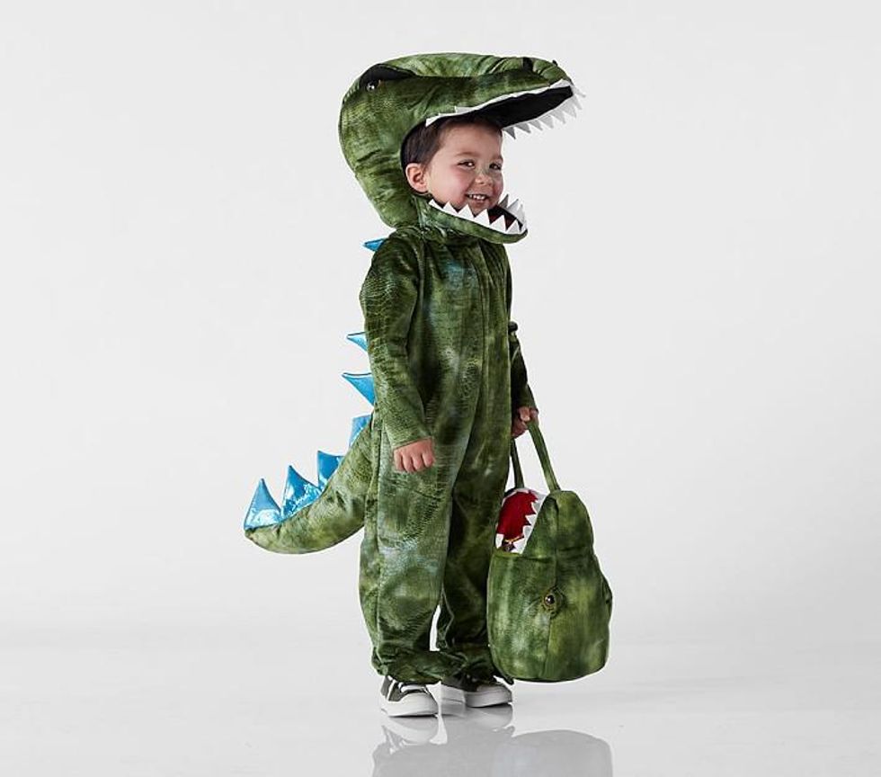 T-Rex Costume