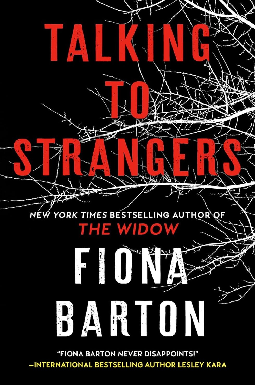 Talking to Strangers by Fiona Barton