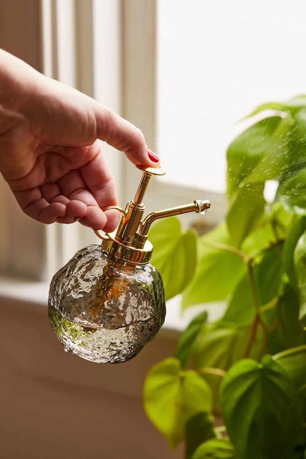 Tana Plant Mister Desk accessories