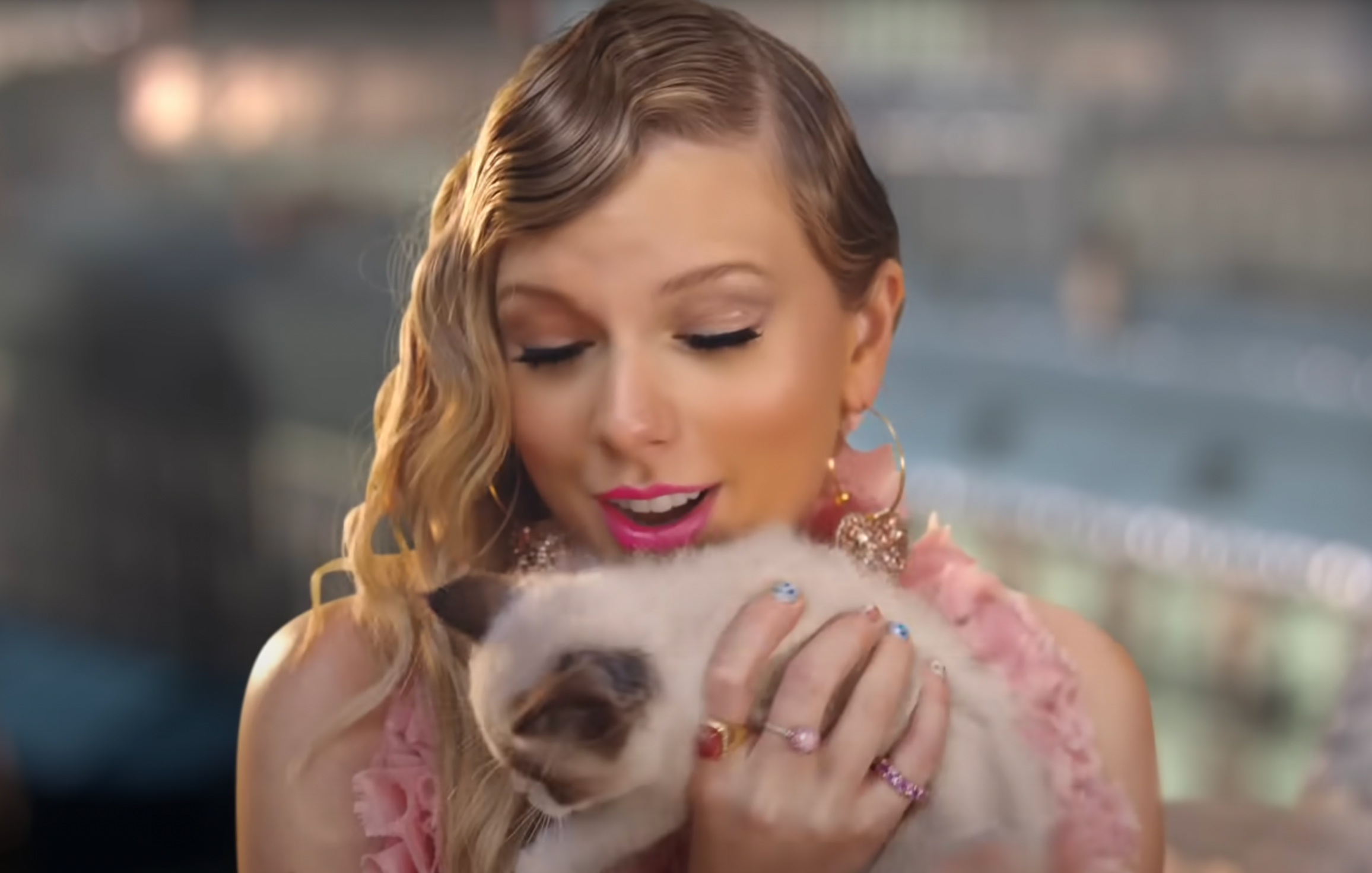 taylor swift and her cat benjamin button on the set of "ME!"