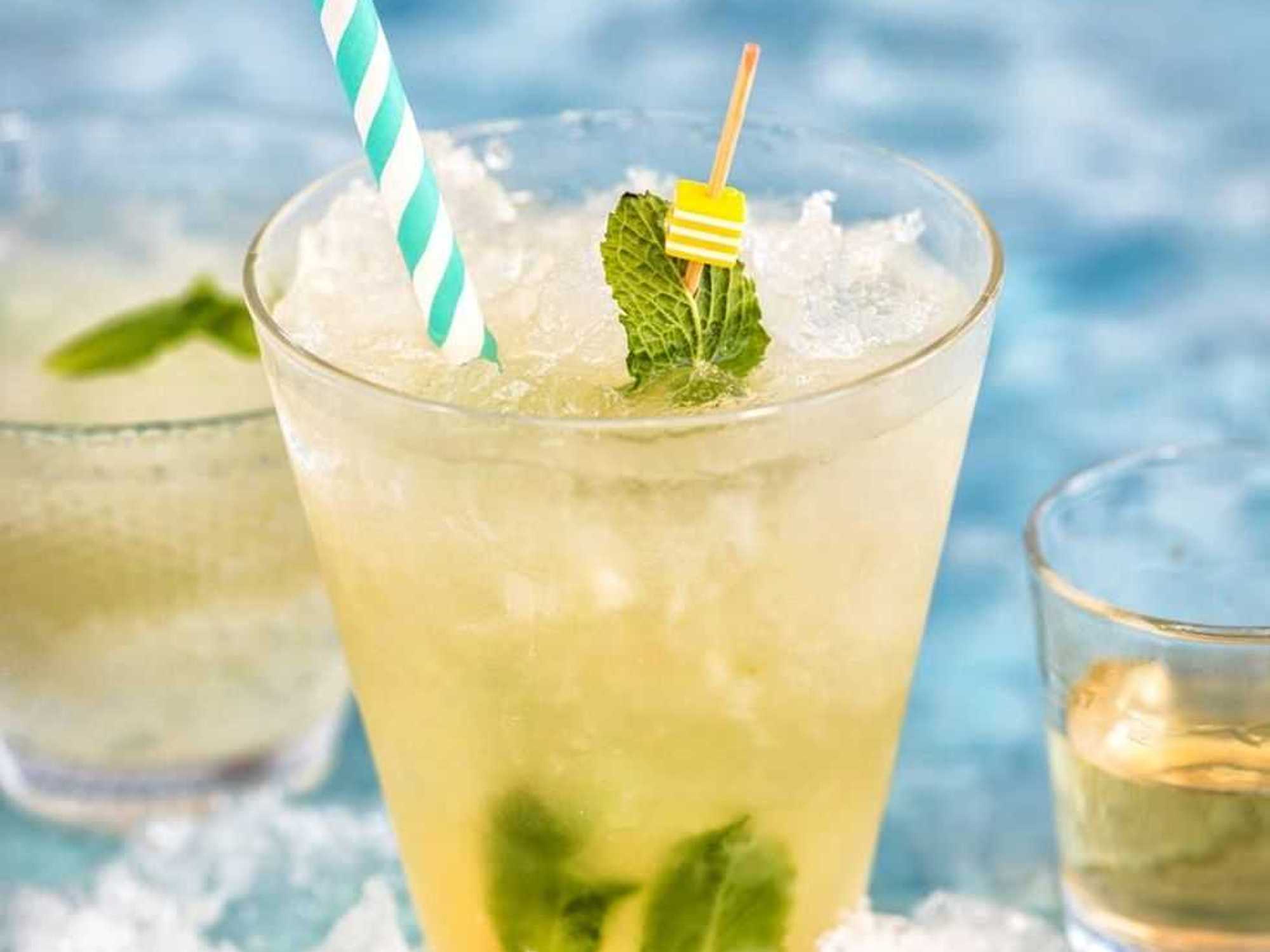Tequila Mint Julep Recipe