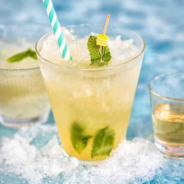 Tequila Mint Julep Recipe