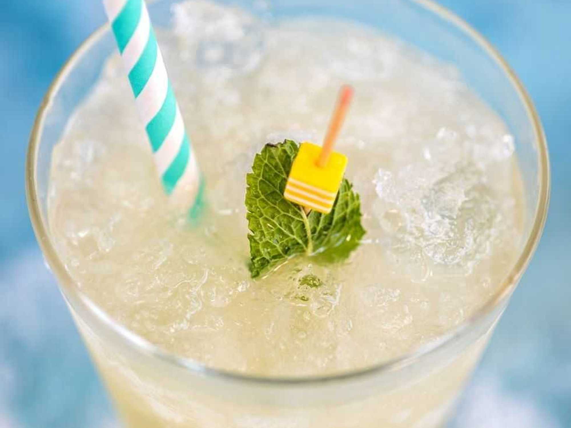 Tequila mint julep recipe