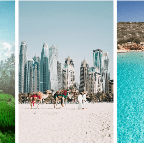 Terraced fields, city skyline with camels, and a serene turquoise beach scene.