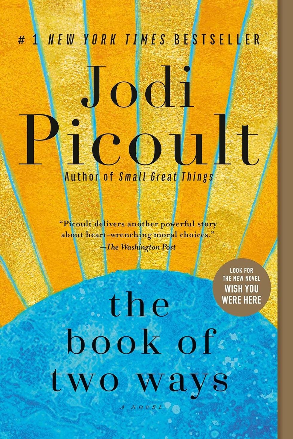 "The Book of Two Ways" by Jodi Picoult