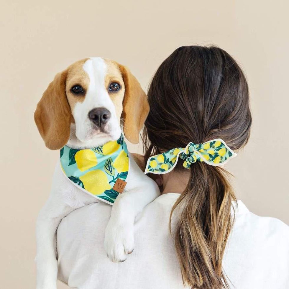 The Foggy Dog Lemon Zest Scrunchie and Bandana Set