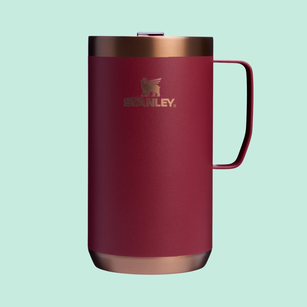 The Holiday Stay-Hot Camp Mug