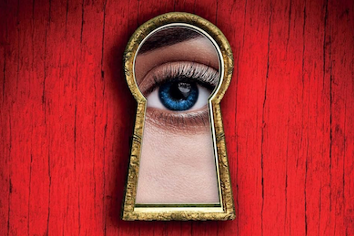 the housemaid book series