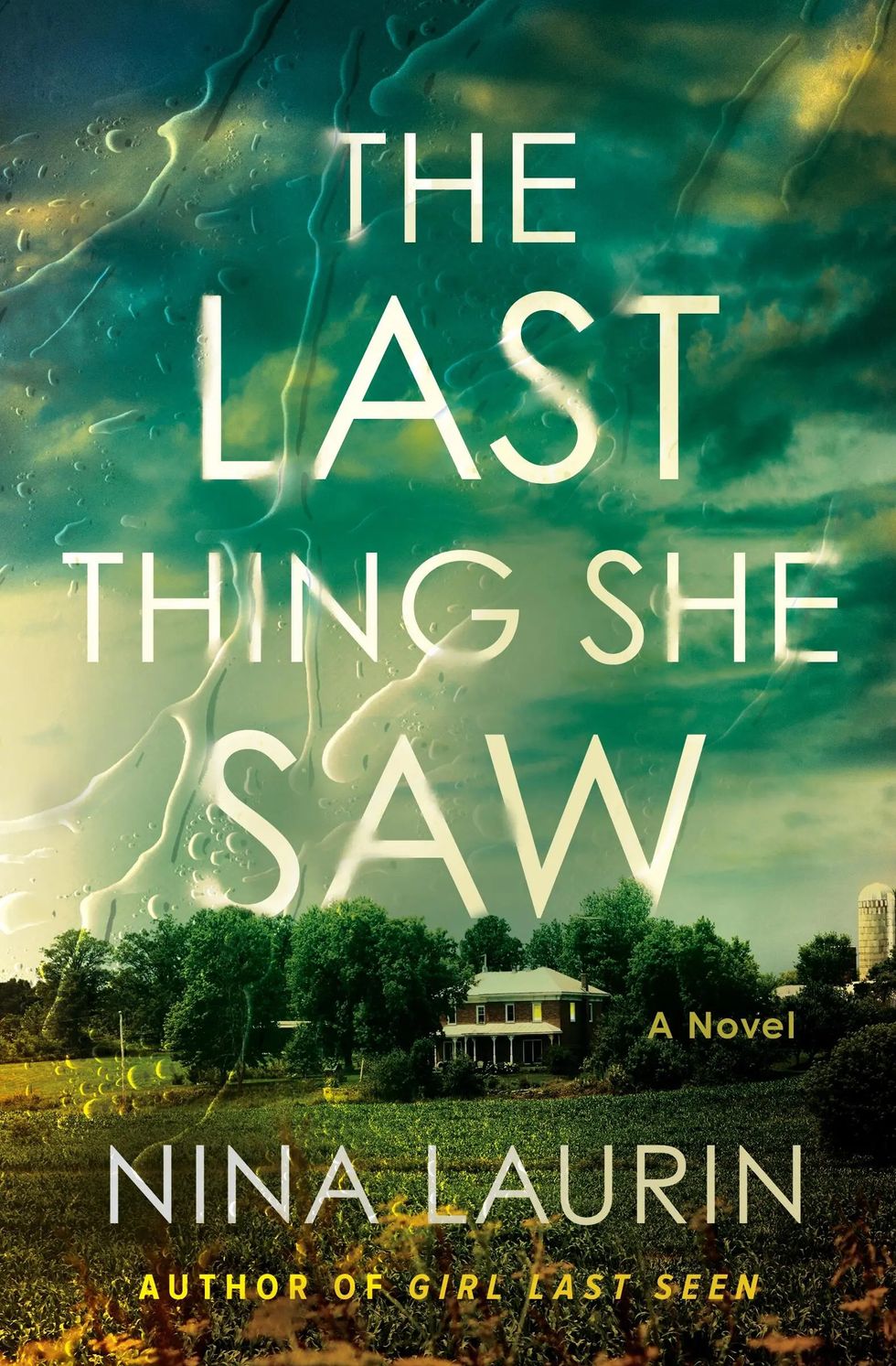 The Last Thing She Saw by Nina Laurin