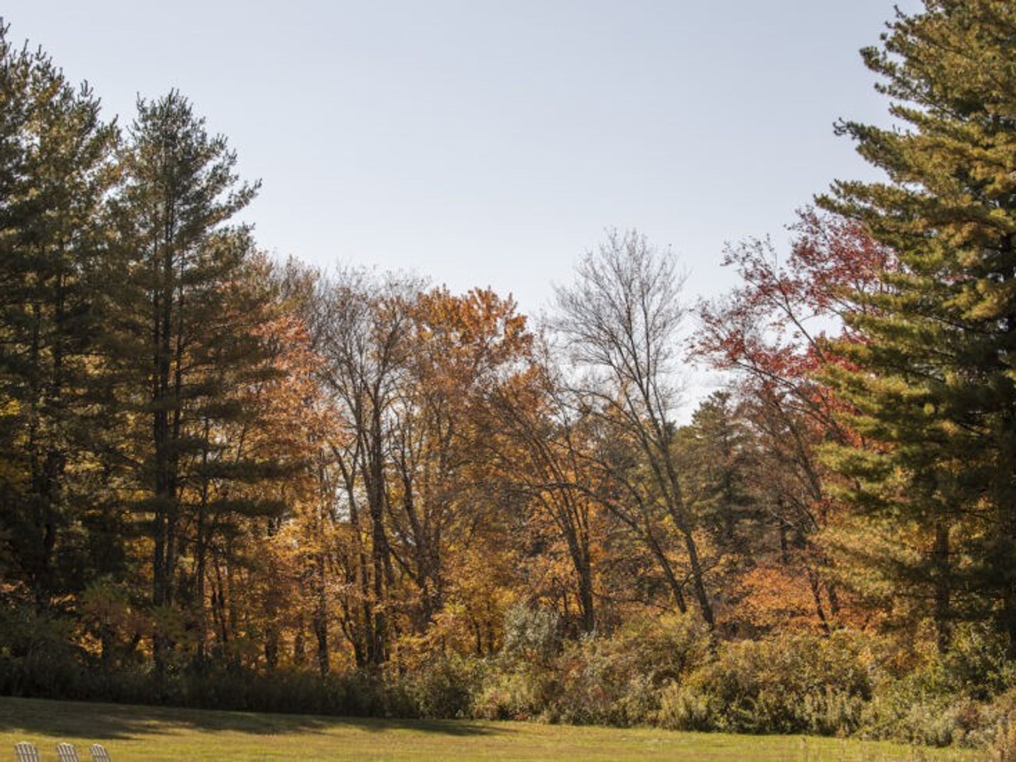 The Litchfield Inn is a relaxing getaway for seeing fall leaves