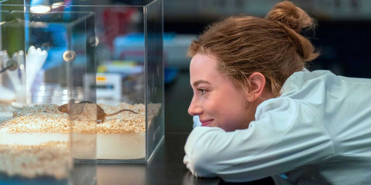 Already Watched 'The Love Hypothesis'? 5 Huge Changes Prime Video Made From the Book
