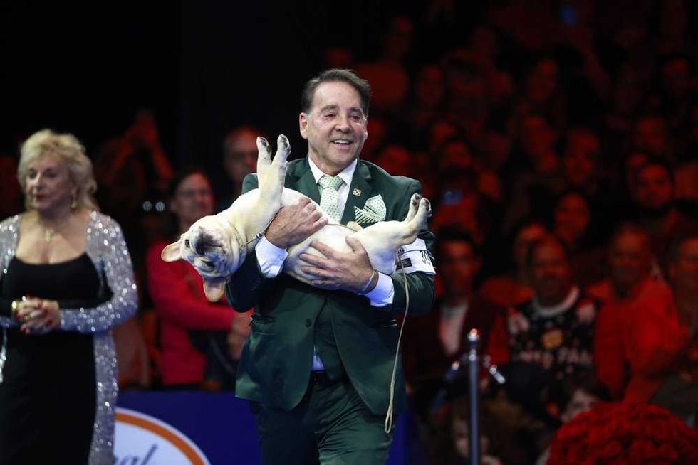 The National Dog Show