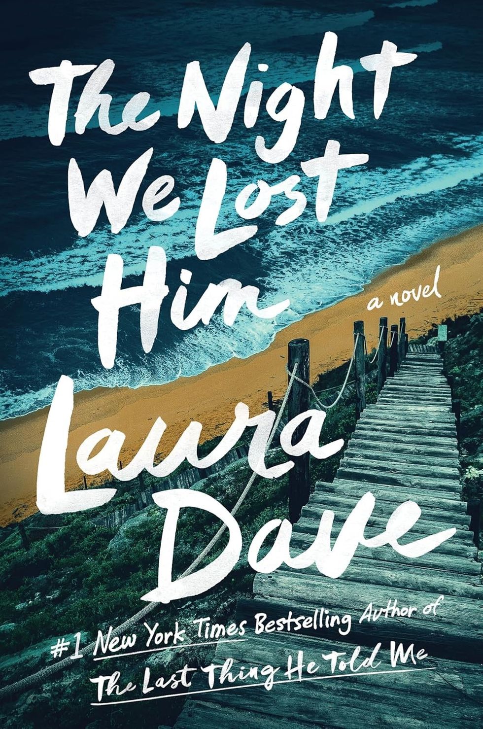 the night we lost him by laura dave