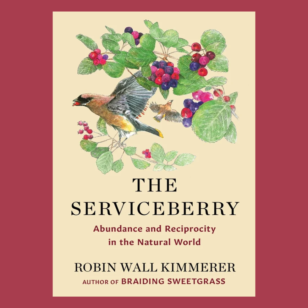 The Serviceberry by Robin Wall Kimmerer