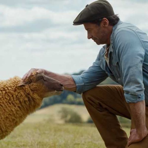 the sheep detectives cast trailer