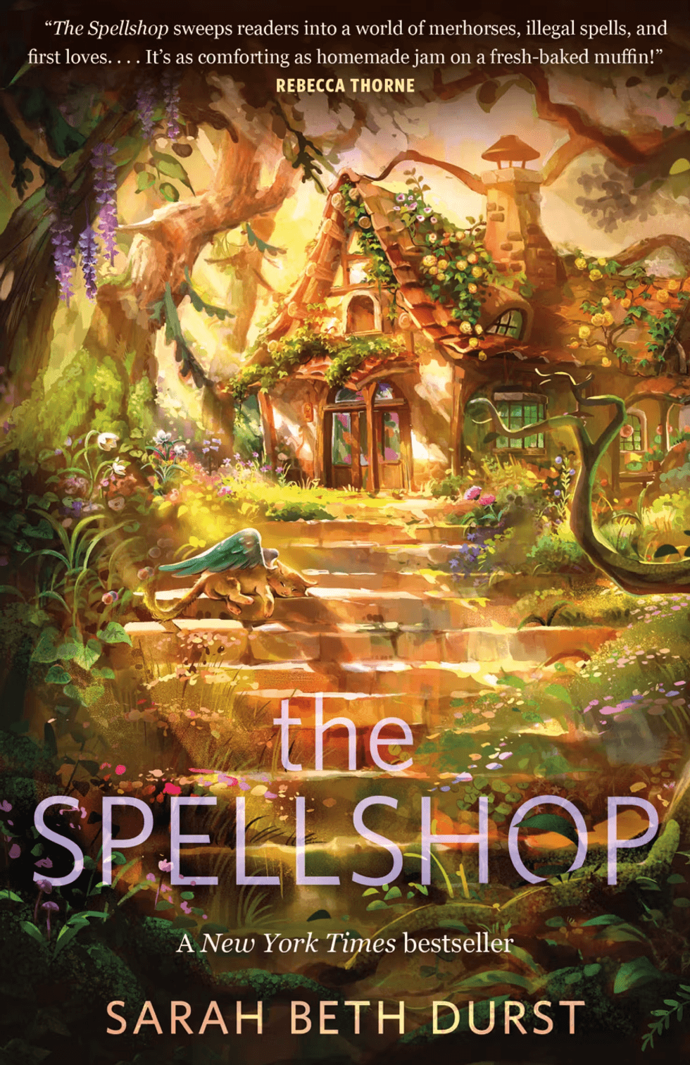 The Spellshop (Books 1-4) by Sarah Beth Durst