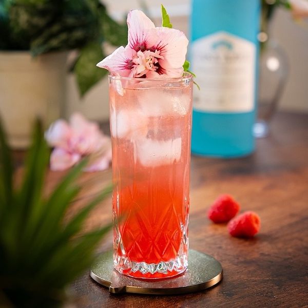 the summer i turned pretty inspired drinks