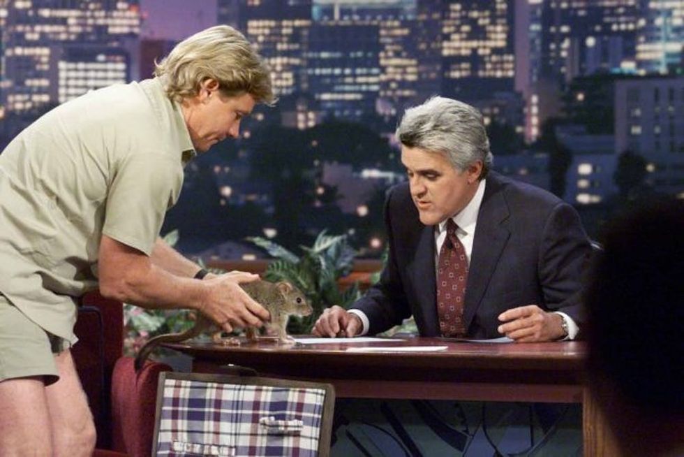 THE TONIGHT SHOW WITH JAY LENO -- Episode 2061 -- Pictured: (l-r) Wildlife expert Steve Irwin during a segment with host Jay Leno on May 17, 2001 -- (Photo by: Paul Drinkwater/NBC/NBCU Photo Bank via Getty Images)