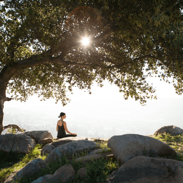 The Ultimate Reset: Why Your Next Vacation Should Be an All-Inclusive Wellness Retreat