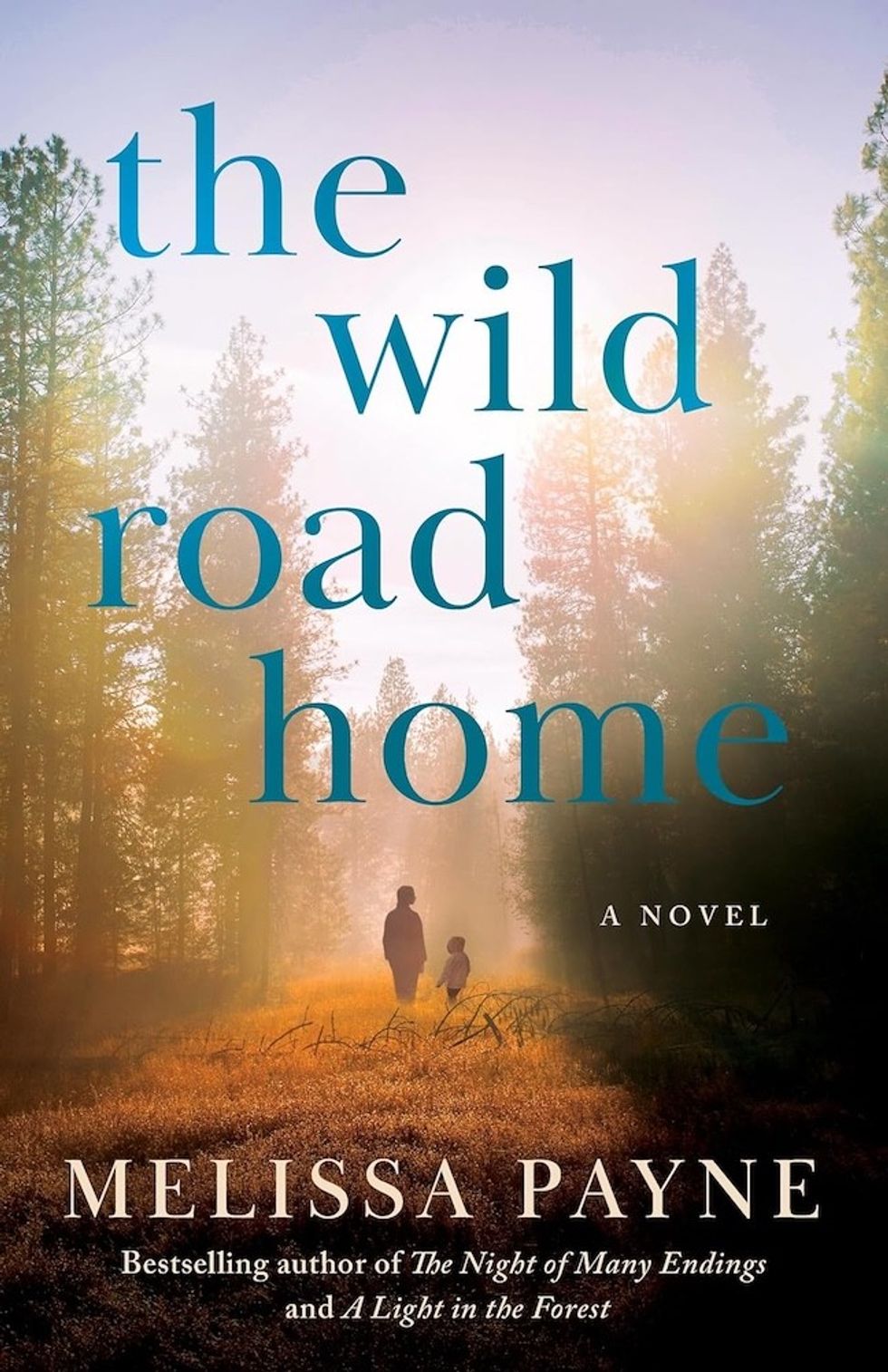The Wild Road Home\u200b by Melissa Payne