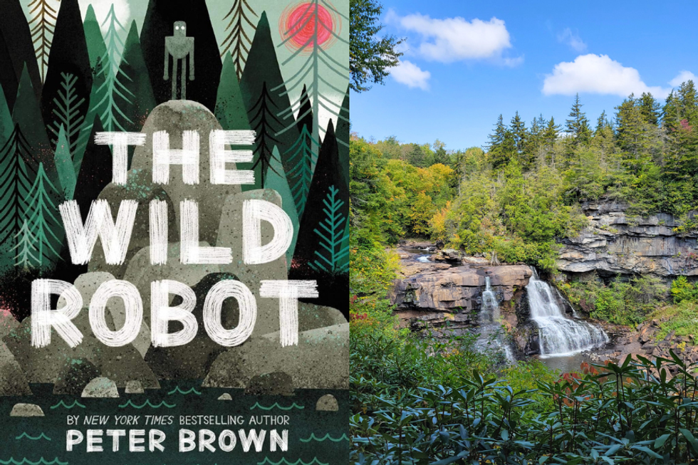 The Wild Robot by Peter Brown | Blackwater Falls State Park