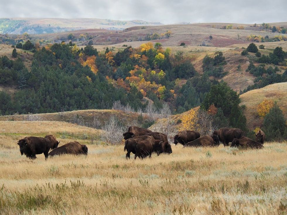 Theodore Roosevelt National Park North Dakota.