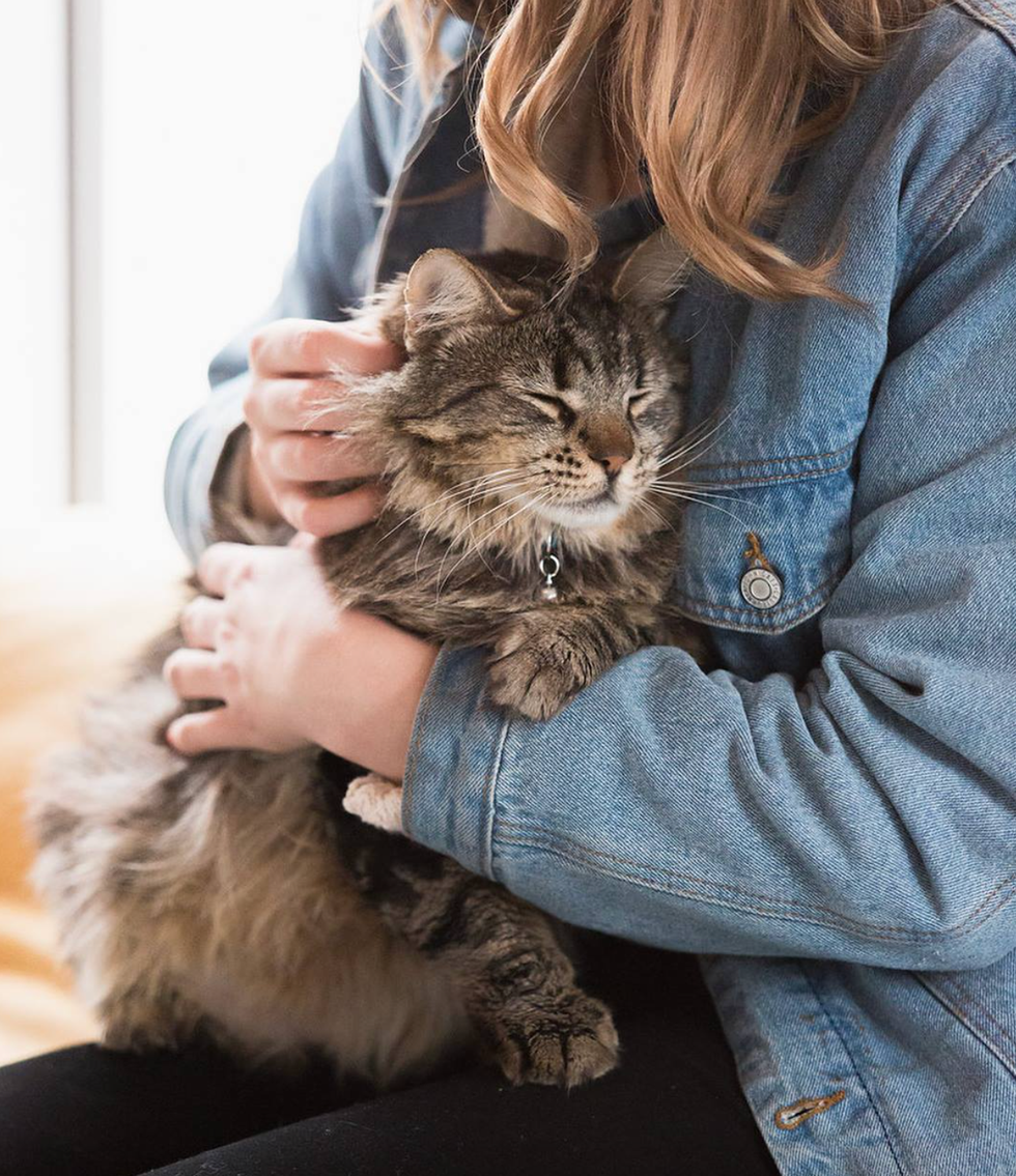 things to do in Santa Barbara