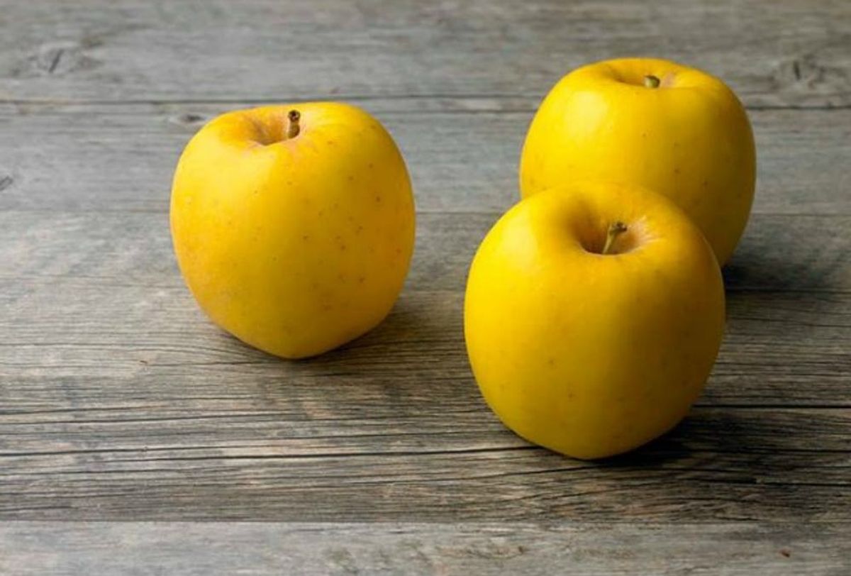 Are Opal Yellow Apples Bad For You? – Superfoodly