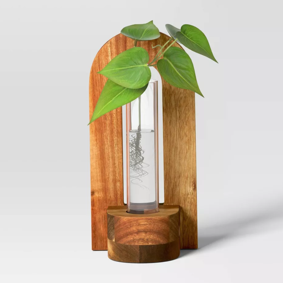 Threshold Wooden Arch Propagation Stand