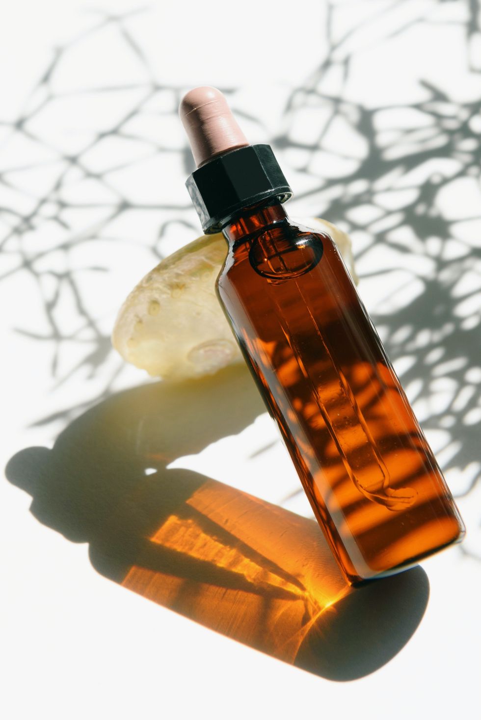 tincture bottle resting in sunlight