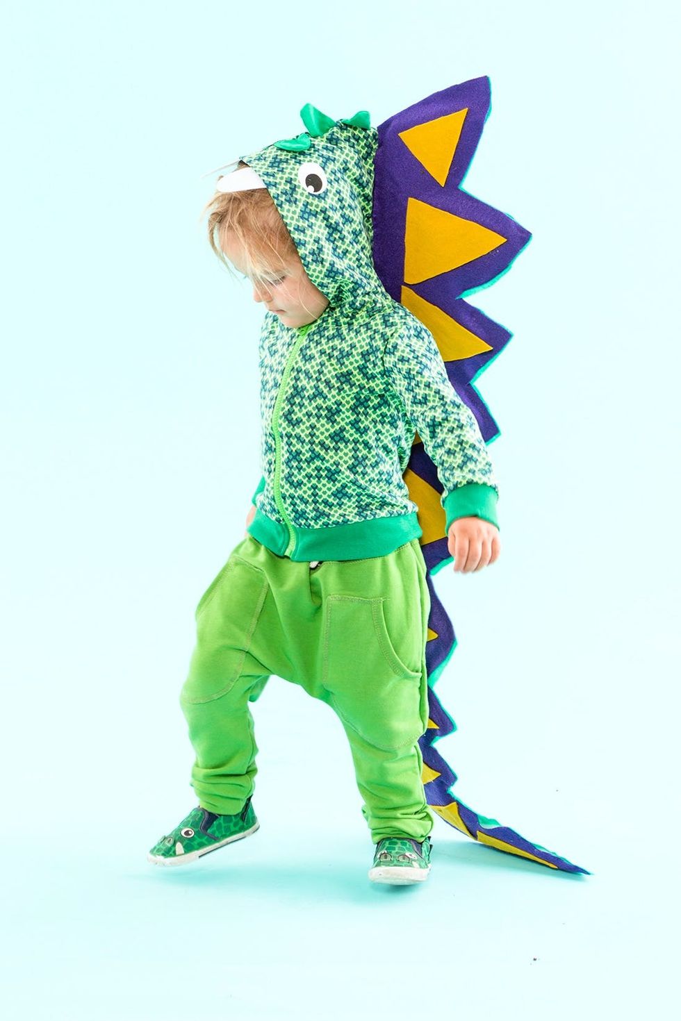 Toddler Dinosaur Halloween Costume