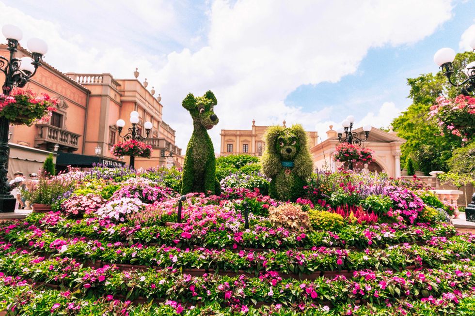 Topiary dogs surrounded by vibrant flowers in front of elegant buildings.
