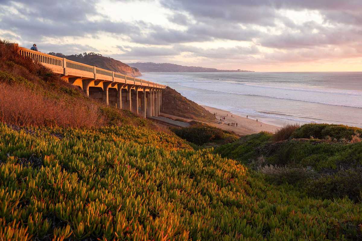 Torrey Pines State Park