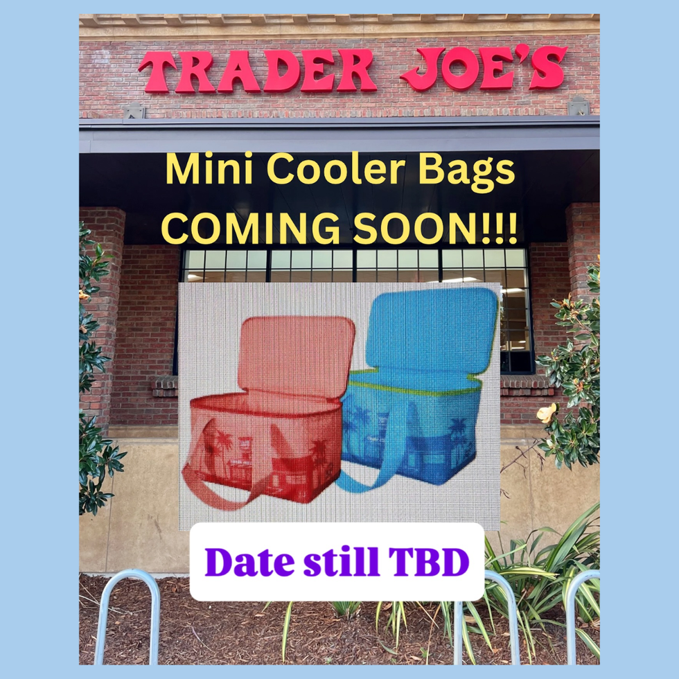 Trader Joe's Mini Cooler Tote Bags Summer 2025