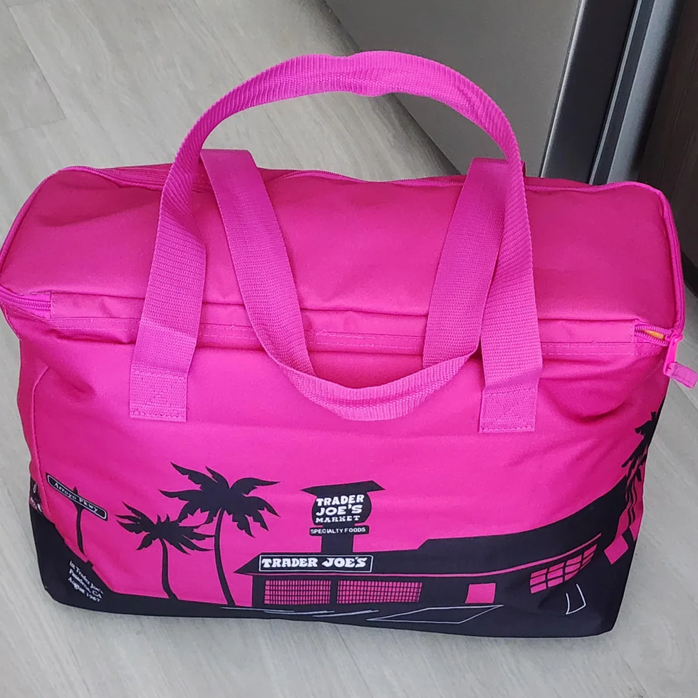 Trader Joe's Mini Cooler Tote Bags Summer 2025