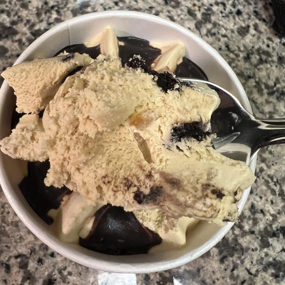 Trader Joe's Panettone & Chocolate Gelato Style Frozen Dessert
