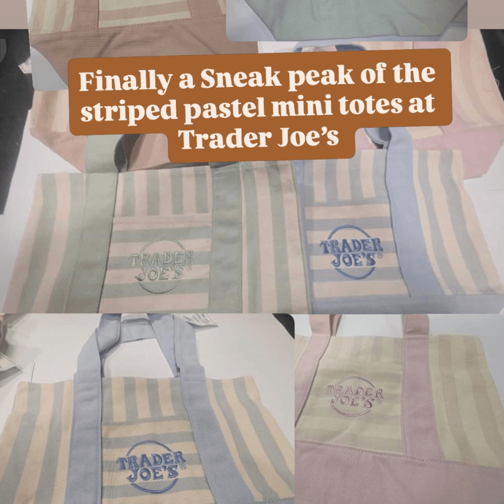 Trader Joe's Striped Mini Canvas Tote Bags