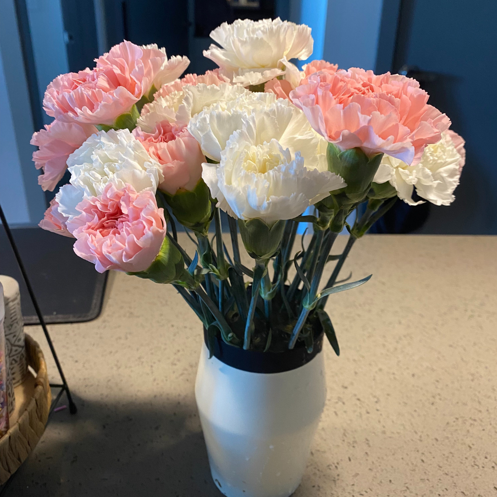 Trader Joe\u2019s flowers care