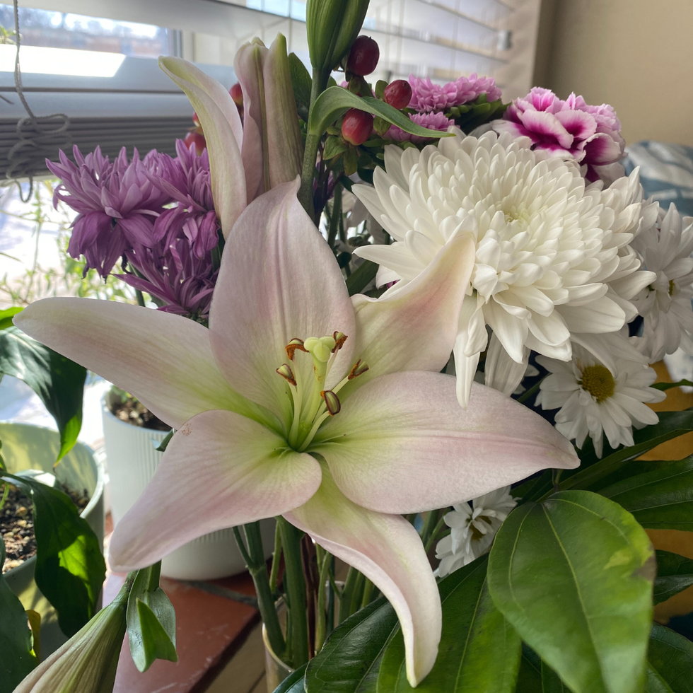 Trader Joe\u2019s flowers