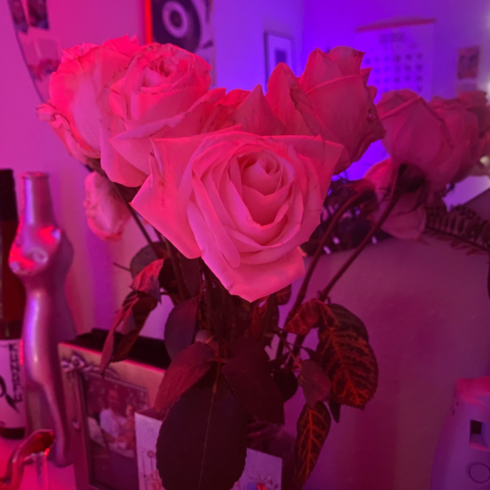 Trader Joe\u2019s flowers